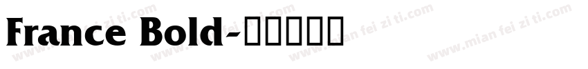 France Bold字体转换